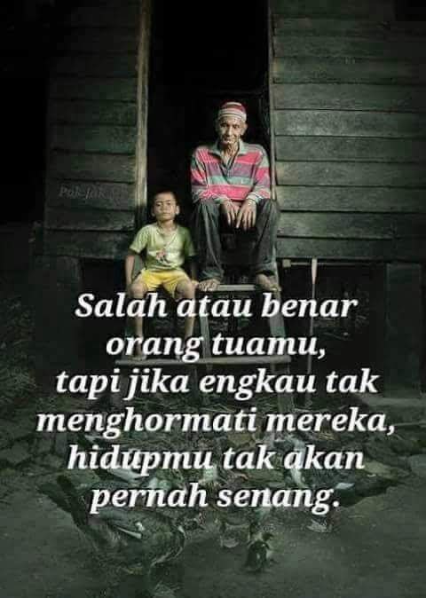 photo_2025-01-11_13-00-32