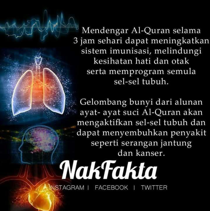 photo_2025-01-11_13-01-31